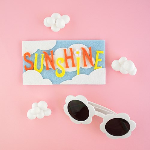 Sunglasses Case